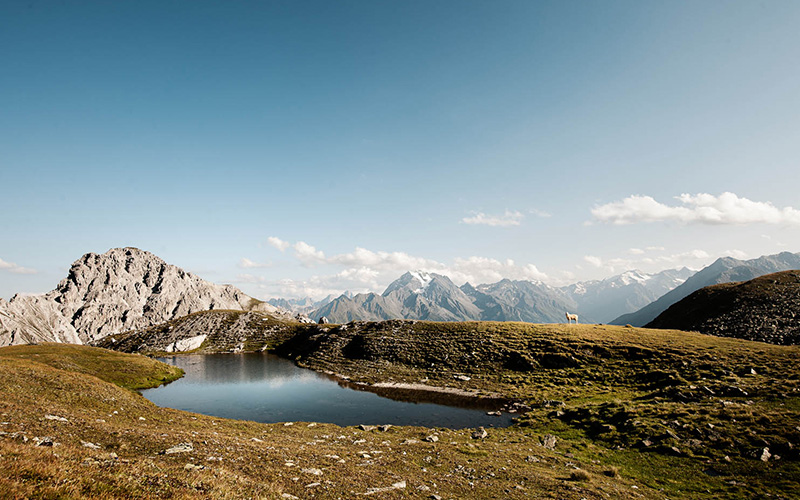 hiking panorama